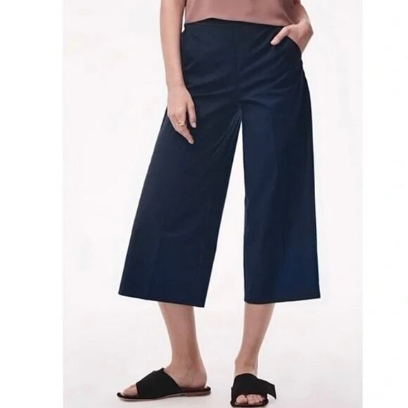Aritzia Babaton Manolo Wide Leg Quiet Luxury Old Money Minimalist Preppy Pants 4